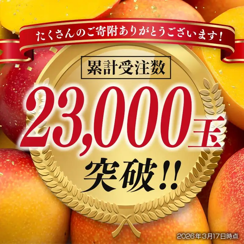 【先行予約】西都市産完熟マンゴー2L×2個　計700g以上 2026年発送＜18-5a＞