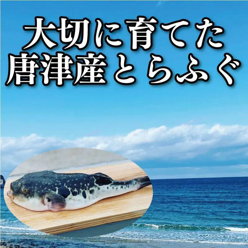 唐津産 とらふぐスパイシー唐揚げ250g×3袋(合計750ｇ )