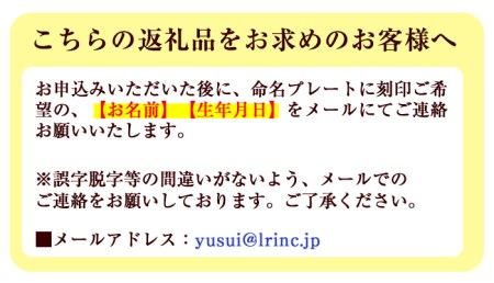 命名プレート(1点) 杉材 オーダーメイド 命名書 出産祝い 記念品 ギフト 贈答 プレゼント 贈り物 名入れ 雑貨 置物 赤ちゃん ベビー 誕生日 木材 木 木工【木工房 木っ葉】_y341