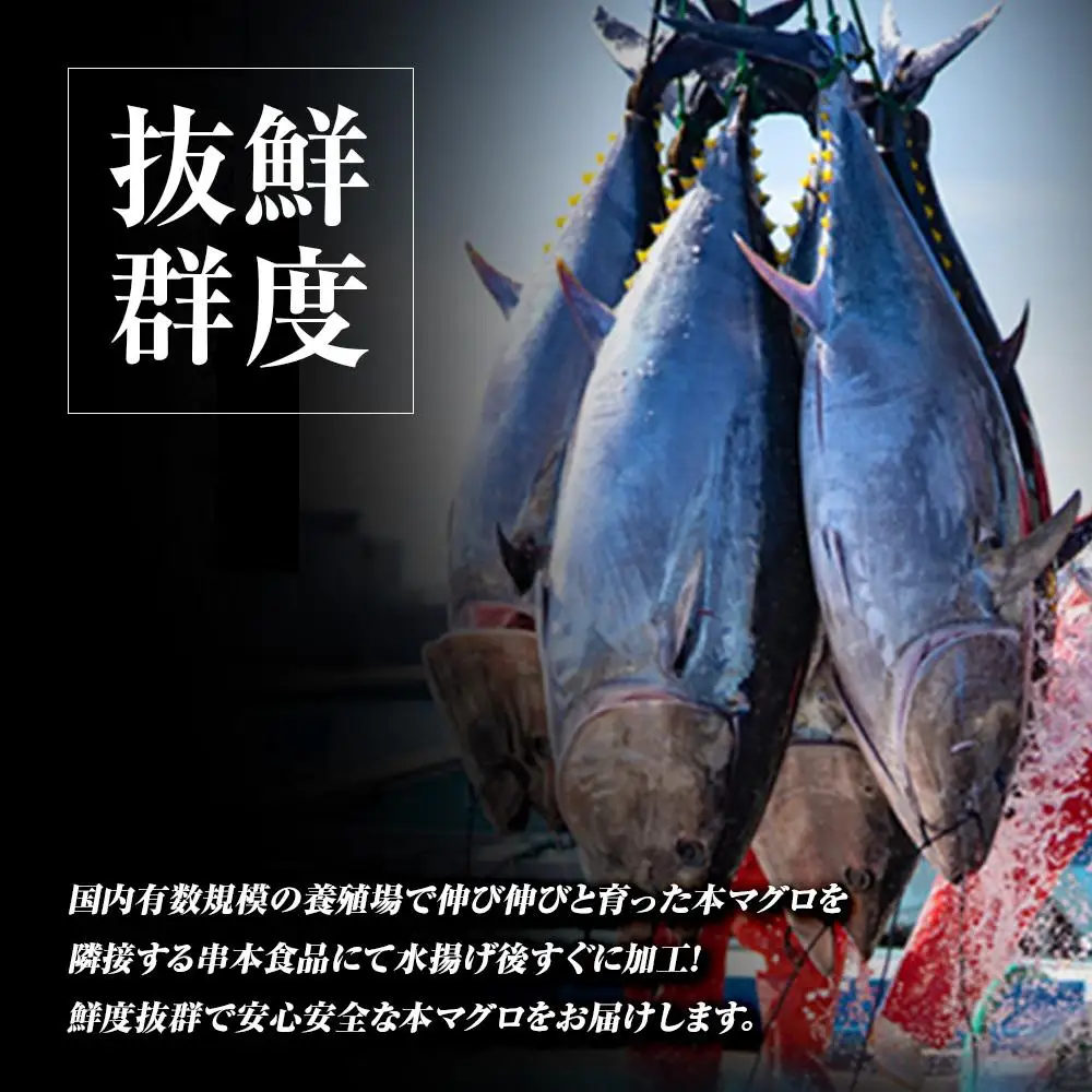本マグロ（養殖）トロ＆赤身セット　240g［KS11］