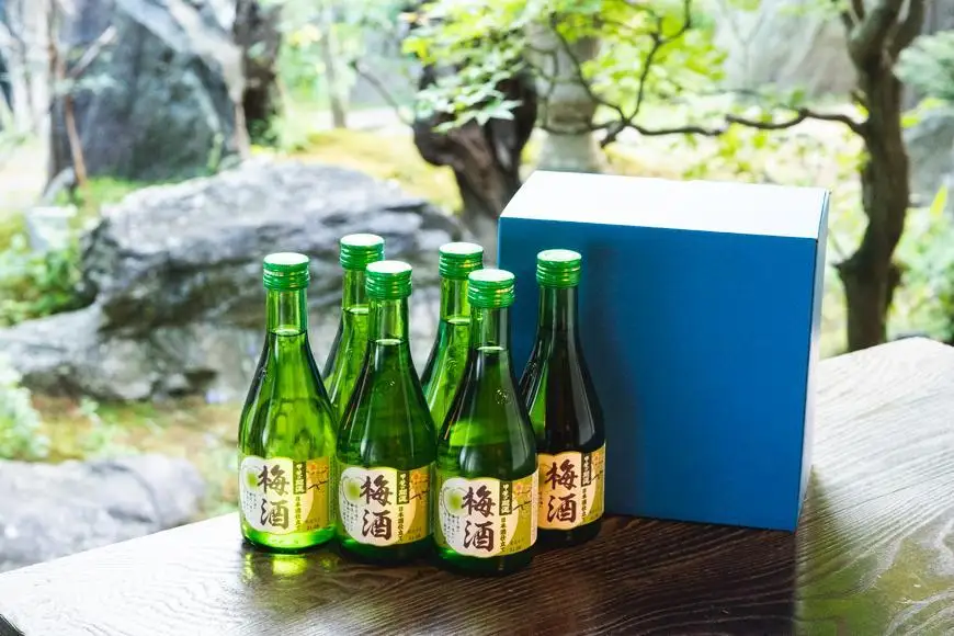 甲斐の開運 梅酒 300ml×6本＜日本酒で造った梅酒＞【井出醸造店】