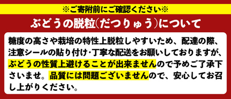 ＜先行予約受付中！2026年8月中旬以降順次発送予定＞鹿児島県産 巨峰(約1.4kg・3～4房) 国産 ぶどう ブドウ 葡萄 果物 フルーツ セット 期間限定 数量限定【落合ぶどう園】akn025-01