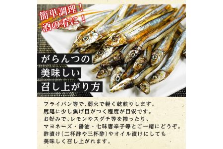 鹿児島県阿久根市産干物セット(6種) 国産 九州産 鹿児島県産 新鮮 鮮度 魚 魚介類 乾物 ひもの おつまみ おかず お弁当 珍味 一夜干し きびなご あじ いか あおさ【マルフク川畑水産】akn029-01