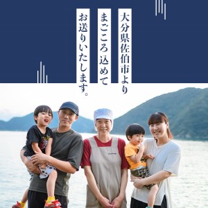 四代続く秘伝のたれ みりん干しセット (合計5種・48枚以上) 干物 ひもの 魚 さかな 鯵 あじ 鯖 さば かます 醤油 食べ比べ おかず 国産 詰め合わせ セット 大分県 佐伯市  【FT01】【田辺海産】