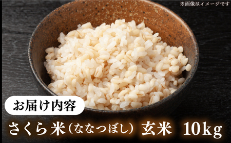 【令和7年産】 玄米 ななつぼし さくら米 10kg [AXAB035]