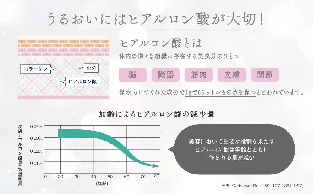 ヒアルモイストＷ 50ml×10本 セット （ヒアルモイスト乳酸液 ヒアルモイスト乳酸菌末 コラーゲン 配合美容ドリンク ）【nssn001A】