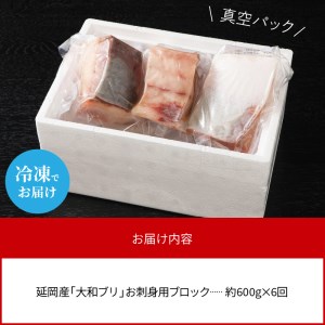 大和ブリの切り身　６ヶ月定期便 N072-YE132