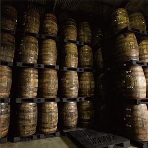 沖縄 BLUE 8年 40度 700ml｜酒 ウイスキー ライスウイスキー　BLUE　人気