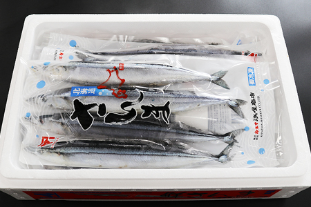 【北海道根室産】冷凍生さんま20尾(4尾×5P) A-32024