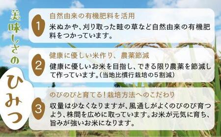【令和7年産】 飛騨コシヒカリ 「飛騨の米」  白米（玄米対応可） 10kg | こしひかり 飛騨産 精米 白米 玄米お米 飛騨高山 ファームジネンいいむら GG011