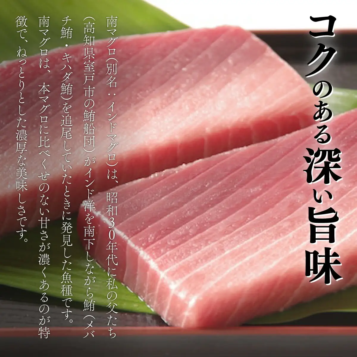 【中トロ】天然南マグロ　中トロ３柵【解凍書付】まぐろ 鮪 海鮮 冷凍 さしみ 刺身 父の日 高知 室戸 マグロ