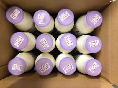 山吹色のジャージー牛乳セット 山吹色のジャージー牛乳 200ml 12本 ジャージー牛乳 牛乳 セット 乳製品 飲料 健康 腸活 免疫力アップ 乳酸菌 ご当地牛乳グランプリ 最高金賞 ご当地 ギフト 贈答用 山のいぶき 熊本 阿蘇 南小国町 送料無料