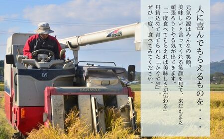 【令和7年産】 新米 宮城県産 超稀少品種 かぐや姫 精米 5kg 宮城県 東松島市 天授のお米 米 白米 こめ 宮城県 東松島市 オンラインワンストップ 対応 自治体マイページ