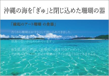 珊瑚シリーズ フリーカップ【スカイブルー】