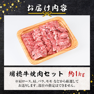 焼肉 セット 約1kg 瑞穂牛 牛肉 国産 【焼肉】【ho0903-1】