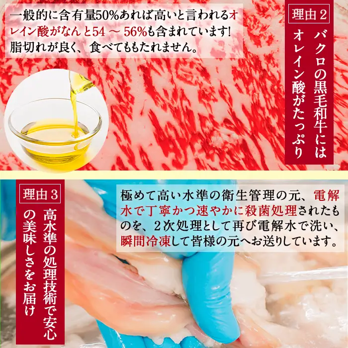 もつ鍋セット 2～3人前 ちゃんぽん麺付き もつ鍋 黒毛和牛【00-030-09】