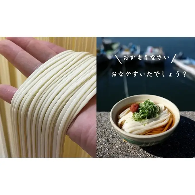 【45人前】あさひうどん太口 乾麺（麺250g×15袋） 麺類 