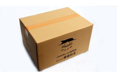 【JA直売所直送】春夏秋冬野菜セット | 野菜 やさい ヤサイ セット 旬 産地直送 大分県産 10～15品 国産野菜 大分県 中津市