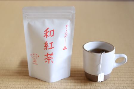 中津市産 お茶 ティーバッグスタンドパック 各種詰合せ | 簡単ティーバッグ 詰め合わせ 煎茶 20個 ほうじ茶 20個 和紅茶 20個 煎茶 緑茶 お茶 紅茶 ほうじ茶 詰め合わせ 大分県 中津市