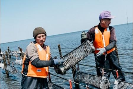 牡蠣のオリーブオイル漬け125g | かき カキ 牡蠣 海鮮 貝 ひがた美人 牡蠣使用 国産牡蠣 おつまみ 肴 瓶詰め 缶つま オリーブ オイル 大分県 中津市