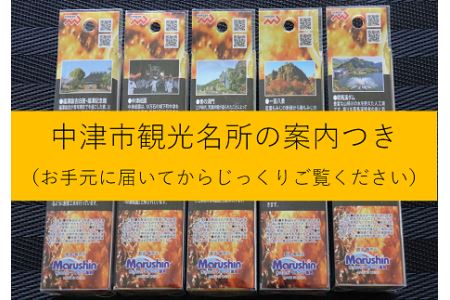 【Dragonシリーズ】中津市限定スペシャルジグセット 40g×5個 限定カラー 数量限定 | Dragon 中津市限定 限定 ジグ ジグセット スペシャルジグセット ルアー 大分県 中津市