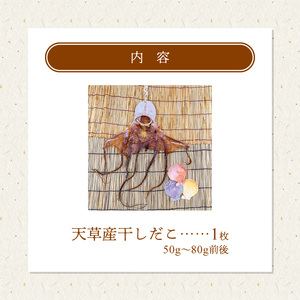 S116-001A_熊本県天草産干しだこ　1枚