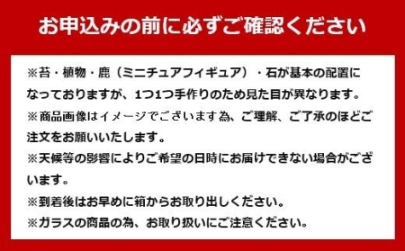 屋久島苔テラリウム | テラリウム