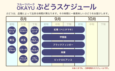 【先行予約】9月特選 ぶどうセットL 1.7kg以上（3～4房）／ 葡萄 クイーンニーナ 品種 おまかせ あわら 農家おすすめ ※2026年9月より順次発送 [aw007-b003]