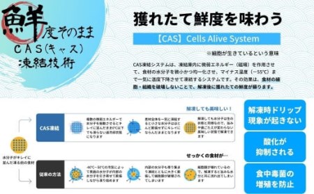 【のし付き】寒シマメ（スルメイカ）肝醤油漬け 80g×5個 全国ご当地どんぶりTOP10 