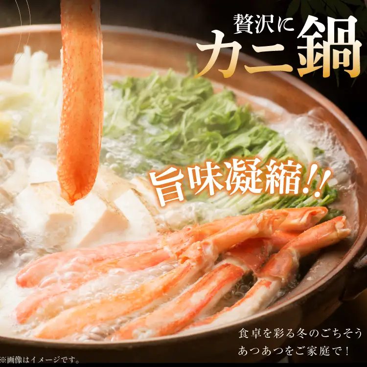 かに 極太 生本ずわいがに 約500g カニ 蟹 [宮城県 気仙沼市 20564334]