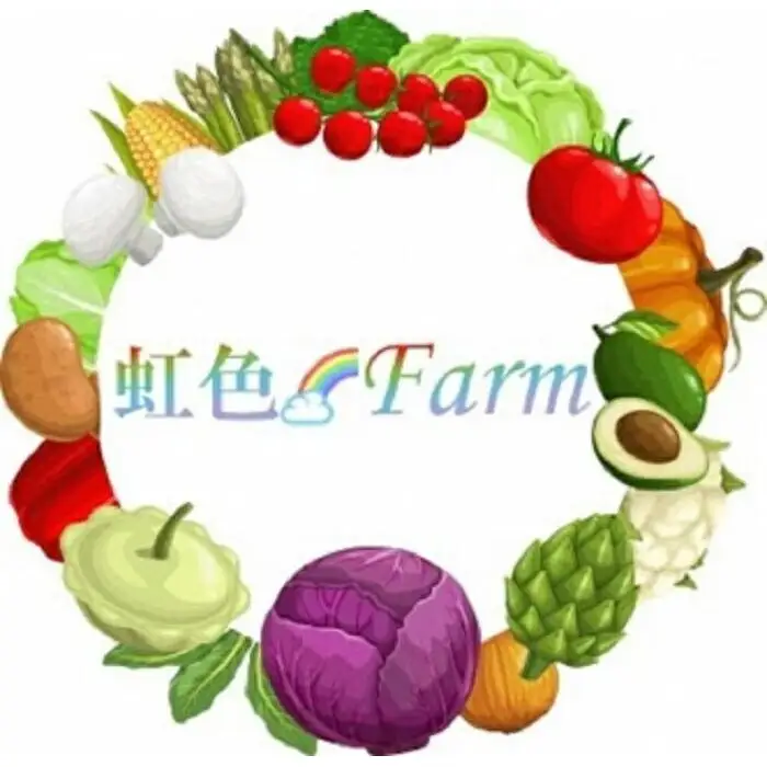 【先行予約特典付き・2026年7月発送】賀茂茄子（京野菜）  6個 約1.5kg｜京野菜 野菜