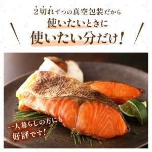 【極味】BIgサイズ一汐紅鮭切り身（厚切り）2切入真空×5袋 ふるさと納税 サケ 鮭 F4F-7957