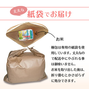 令和7年産　普通精米　久留米産ヒノヒカリ 10kg 〔Gr025〕