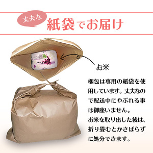 令和7年産　普通精米　福岡県産夢つくし 10kg 〔Gr030〕