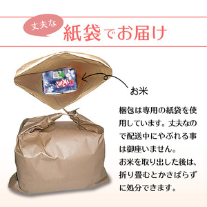 令和7年産　普通精米　福岡県産元気つくし 10kg 〔Gr031〕