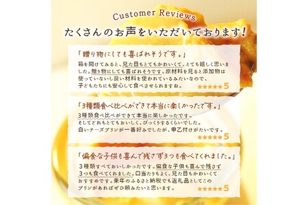 シェフのこだわりプリンセット【3種類×2組】_I010-0156