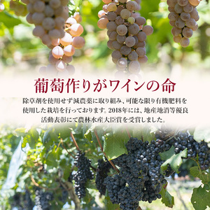 ワイン 柏原醸造ワイン 赤 白 辛口 6本 セット お楽しみ 詰め合わせ 酒 お酒 赤ワイン 白ワイン 国産 アルコール 
