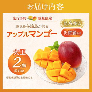 【数量限定】鹿児島 与論島アップルマンゴー特A秀品大玉２個約１キロ 化粧箱入り【先行予約】| マンゴー