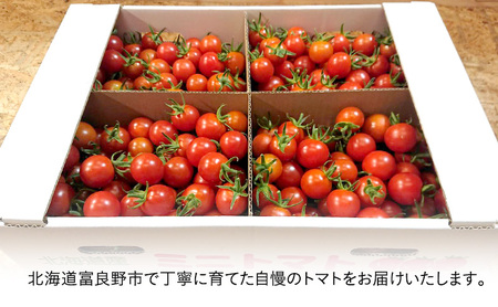 【2026年7月より発送】北海道 富良野市産 完熟ミニトマト（甘っこ）約3kg カラートマト付 トマト 甘い 野菜 新鮮 数量限定 先着順【藏ファーム】
