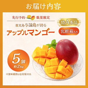 【数量限定】鹿児島 与論島アップルマンゴー特A秀品５個約2kg 化粧箱入り【先行予約】| マンゴー