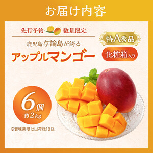 【数量限定】鹿児島 与論島アップルマンゴー特A秀品６個約2kg化粧箱入り【先行予約】| マンゴー