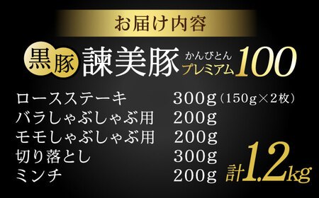 【お中元対応可】黒豚諫美豚プレミアム100 5種詰め合わせ 1.2kg / 豚肉 ぶたにく ロースステーキ しゃぶしゃぶ 切り落とし ミンチ / 諫早市 / 株式会社土井農場 [AHAD047]