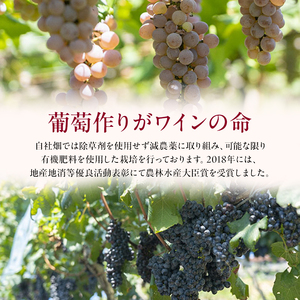 カタシモワイナリー プレミアムワイン 10～12本 酒 メルロー シャルドネ