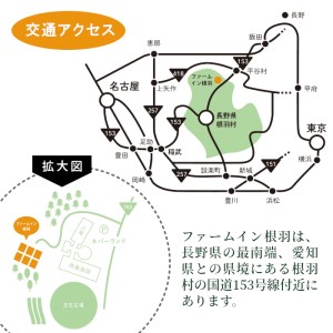 自然の中の隠れ家★コテージ一棟貸 根羽ヴィレッジ(30,000円分) コテージ 旅行 キャンプ BBQ