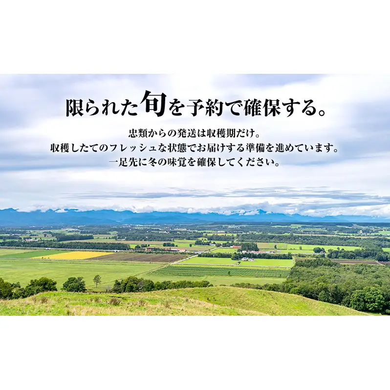 2026年12月発送 先行予約 十勝「忠類長いも」5kg (5～8本) L～2L［JA忠類］【 長芋 ながいも 山芋 芋 とろろ 野菜 根菜 産地直送 贈答 ギフト北海道 幕別 】