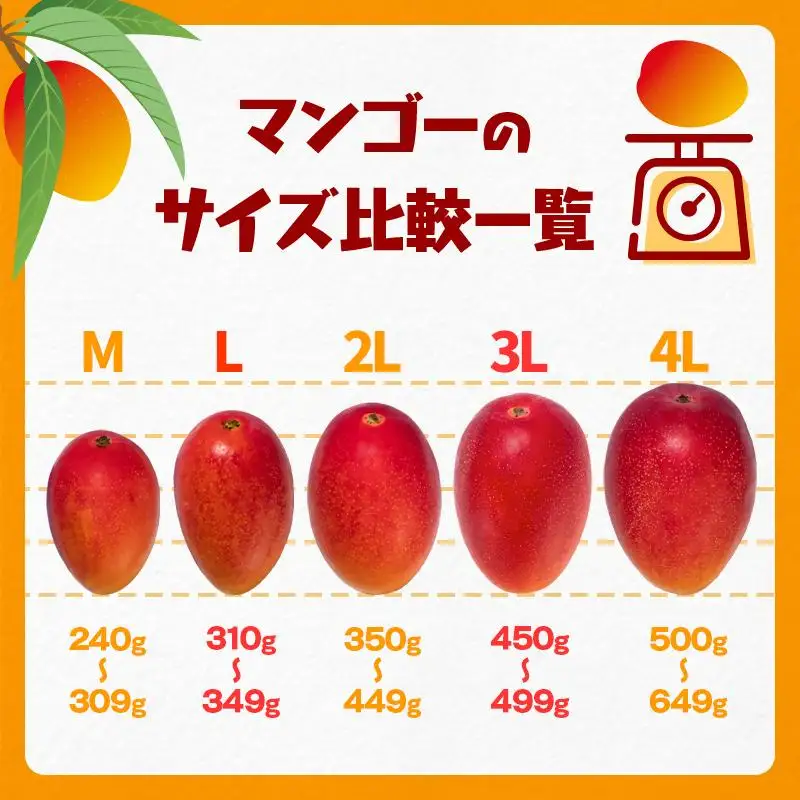 【先行予約】2026年発送 西都市産完熟マンゴー 2L×2玉 糖度12度以上＜26-11a＞宮崎完熟マンゴー 果物 フルーツ 甘い