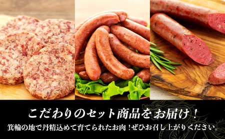 天龍牛味わいセットB ハンバーグ フランク ソーセージ 天龍牛 黒毛和牛 長野県産 信州産 お肉 国産 希少 お酒のつまみ 