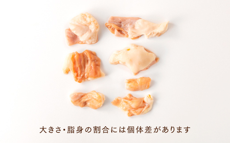 AG066.【博多もつ鍋やま中】もつ鍋みそ味（3～4人前）