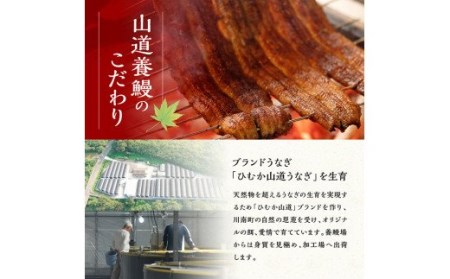 【名店の味！宮崎県産鰻】 ひむか山道うなぎ蒲焼１尾分と唐揚げ・肝焼のウナギセット　ウナギ 鰻 蒲焼
