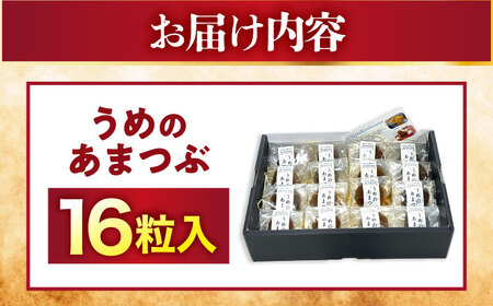 福井県産 うめのあまつぶ（梅グラッセ）16粒入 国産 洋菓子 ギフト [A-024002] [BFAU004]